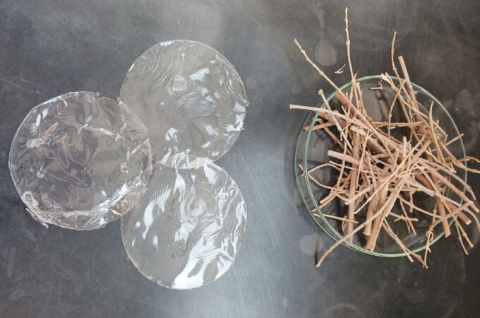 Imagen del bioplástico transparente