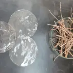 Imagen del bioplástico transparente