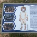 Recreación de la niña neandertal que vivió en Pinilla del Valle