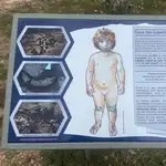 Recreación de la niña neandertal que vivió en Pinilla del Valle