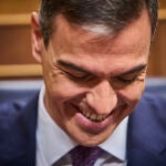 Sesión Plenaria en el Congreso de los Diputados. Comparecencia del presidente del Gobierno Pedro Sanchez. Asis