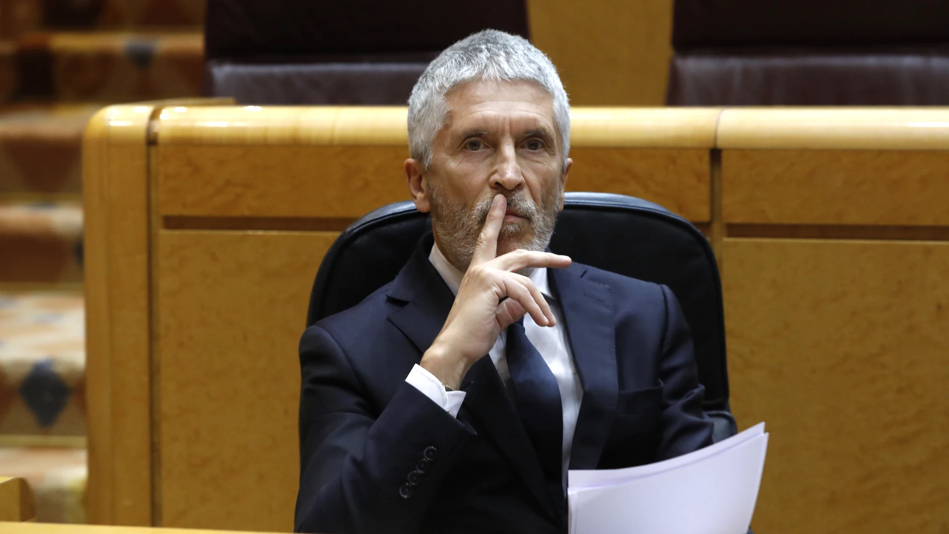 El ministro del Interior, Fernando Grande-Marlaska