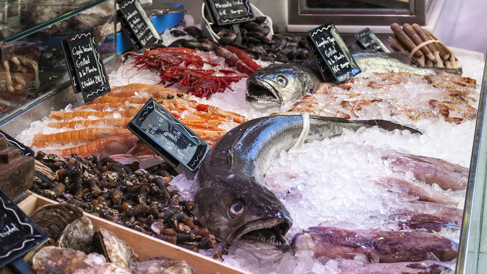 Los pescados marinos son los realmente susceptibles de contener anisakis. Ni los de agua dulce, ni los de piscifactoria ni los mariscos