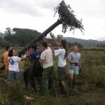 Voluntarios de SEO/BirdLife instalan un nido para águila pescadora en Cantabria