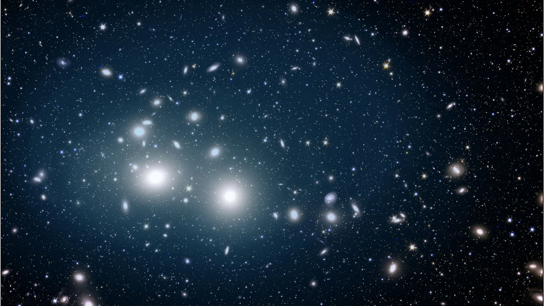 Esta imagen, capturada por el satélite Euclid, muestra el cúmulo de galaxias de Perseo bañado en una suave luz azul emanada de las estrellas huérfanas. Estas estrellas huérfanas están dispersas por todo el cúmulo, extendiéndose hasta 2 millones de años luz desde su centro. Las galaxias del cúmulo destacan como formas elípticas luminosas contra la oscura extensión del espacio. 