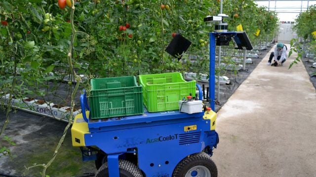 Almería pide a Europa el fin de la «hipocresía» alimentaria 