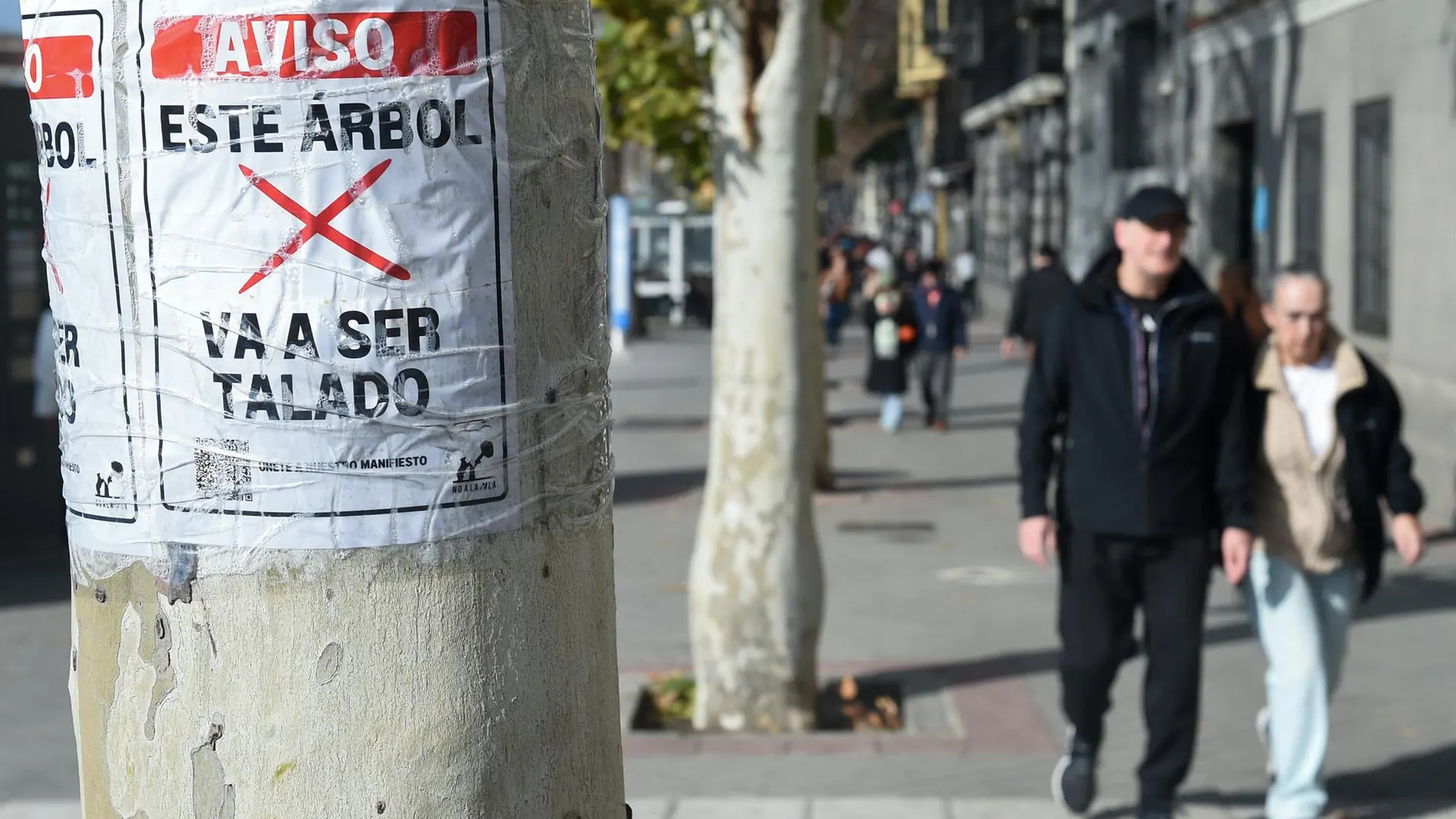 MADRID.-El Defensor del Pueblo ve justificada la tala de árboles por las obras de ampliación de la Línea 11 de Metro