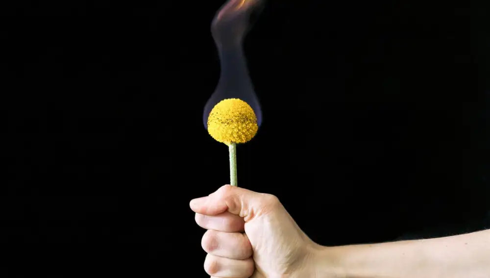 Imagen de la exposición "Camino del Sol"