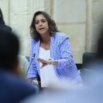 La consejera de Salud y Consumo, Catalina García, en el Pleno del Parlamento 