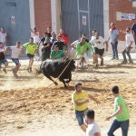 El Toro Enmaromado por las calles de Benavente