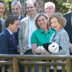 La Reina Sofía asiste a la presentación de los dos nuevos pandas del Zoo de Madrid