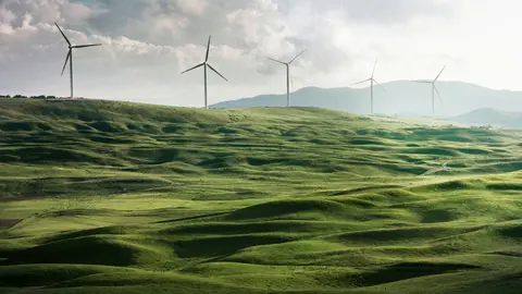 La transición energética requiere de políticas sensatas