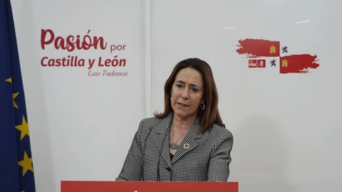 La procuradora socialista y portavoz del Comité de Campaña de las europeas del PSOE, Rosa Rubio