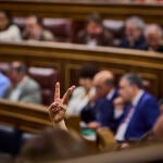 El Congreso ha aprobado este jueves, con 177 votos a favor y 172 en contra, la proposición de ley de amnistía para la normalización institucional, política y social en Cataluña, una iniciativa pactada por el PSOE con Junts y ERC y que permitió hace seis meses la investidura de Pedro Sánchez.