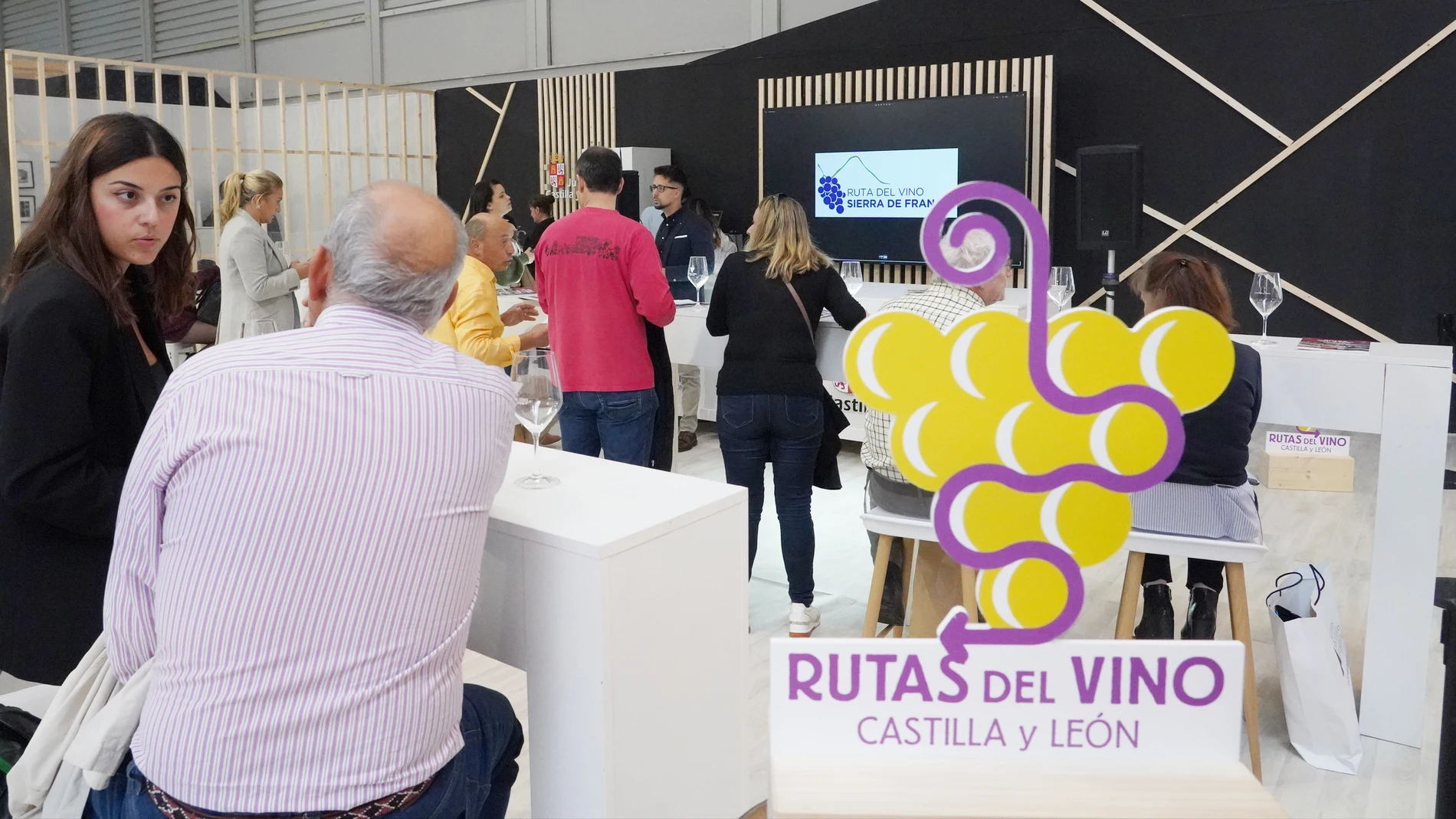 Promoción de las Rutas del Vino de Castilla y León