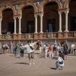 Turistas en la Plaza de España de Sevilla