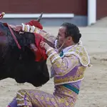 El torero Damián Castaño sufre una cogida durante la corrida de toros de la Feria de San Isidro, con toros de la ganadería de José Escolar para los diestros Fernando Robleño, Gómez del Pilar y Damián Castaño, este martes en la Plaza de Toros de Las Ventas, en Madrid. 