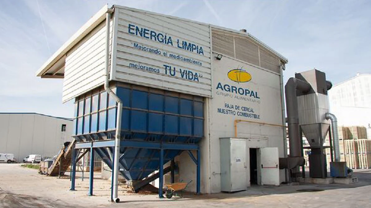 Descarbonizar la industria en España gracias a la bioenergía