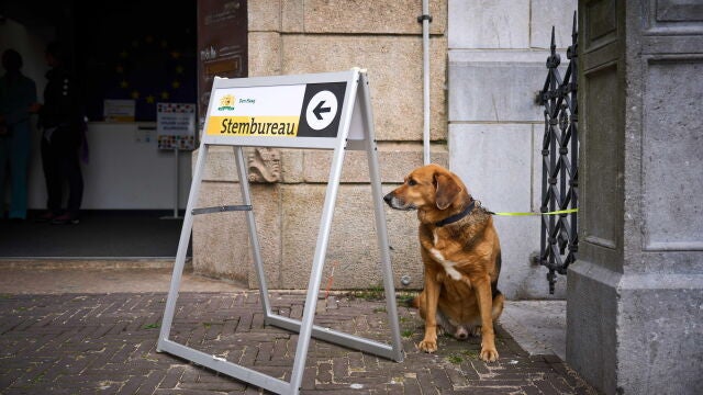 The Netherlands votes in European Elections