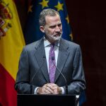 El Rey Felipe VI 