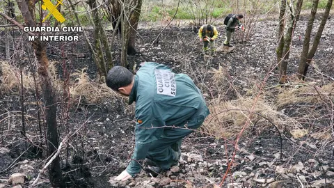 Detienen a un joven de 20 años como autor de un incendio que afectó a 199 hectáreas en Vega de Pas (Cantabria)
