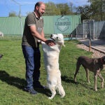 Centro canino Can-poo que funciona como guardería para que los dueños dejen a sus mascotas alojadas mientras se van de vacaciones, en la imagen el dueño del centro, Miguel Ángel Barcenilla, con algunos perros alojados en el centro