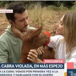 Clara la cabra violada regregra con su dueño en Cáceres: "puede que necesite ayuda psicológica"