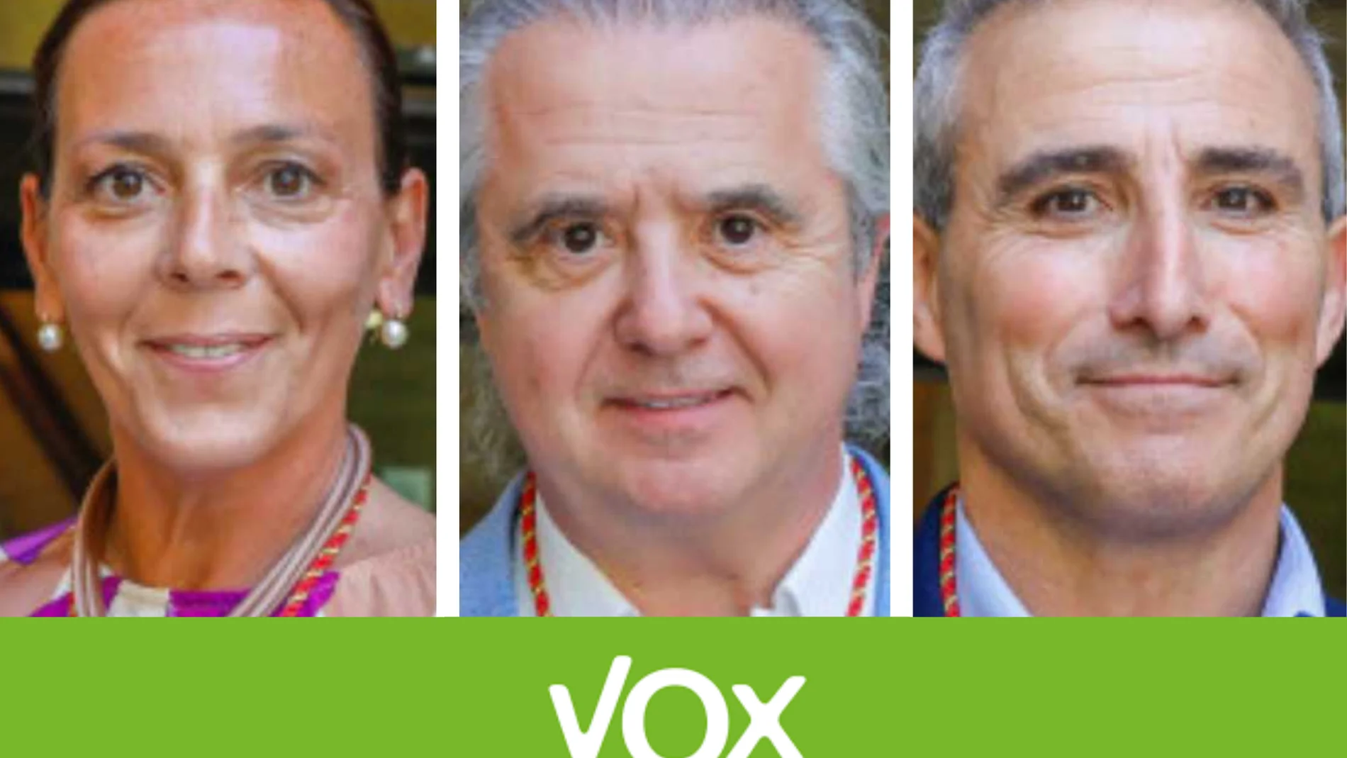 Vox echa a 3 de sus concejales en Albacete: Leticia Alejandra Martínez, José Ramón Conesa y José Bernabé Cotillas