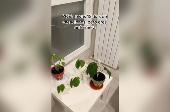 El ingenioso método de una enfermera para regar las plantas durante las vacaciones