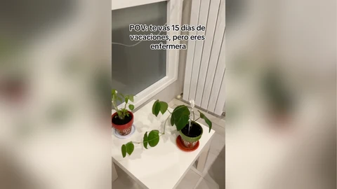 El ingenioso método de una enfermera para regar las plantas durante las vacaciones