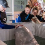 Los cuidadores del Oceanogràfic de Valencia con una de las belugas procedentes de Ucrania