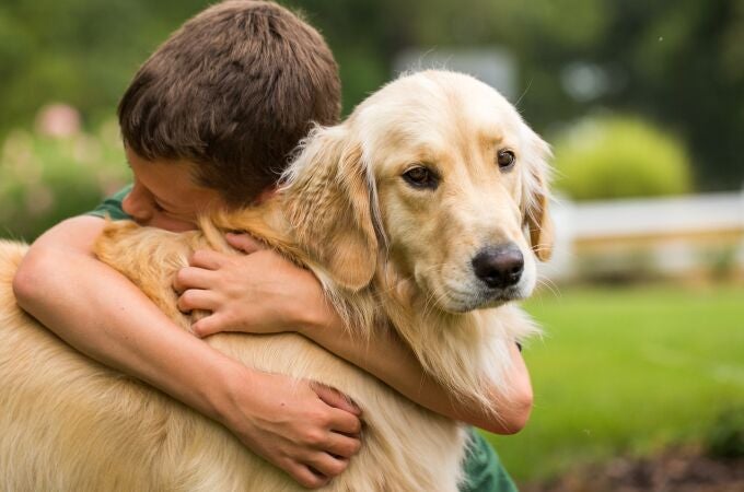 Esta es la muestra de afecto que los perros rechazan, según un estudio