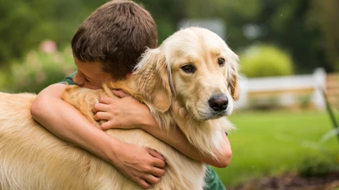 Esta es la muestra de afecto que los perros rechazan, según un estudio