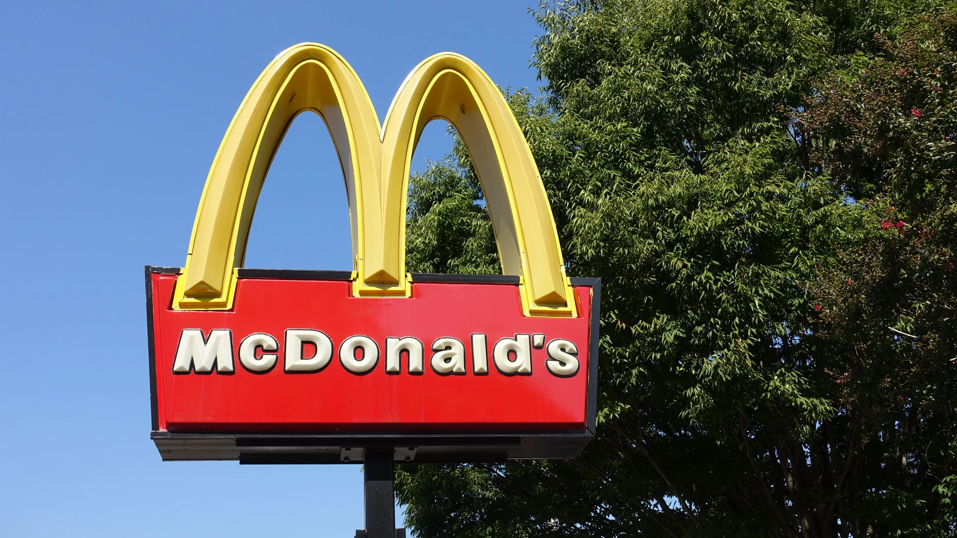 McDonald s Busca Nuevos Franquiciados Para Abrir 200 Restaurantes En mcdonald-s-busca-nuevos-franquiciados-para-abrir-200-restaurantes-en