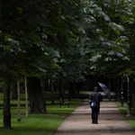 Cielos nubosos a muy nubosos con chubascos débiles a moderados y tormentosos