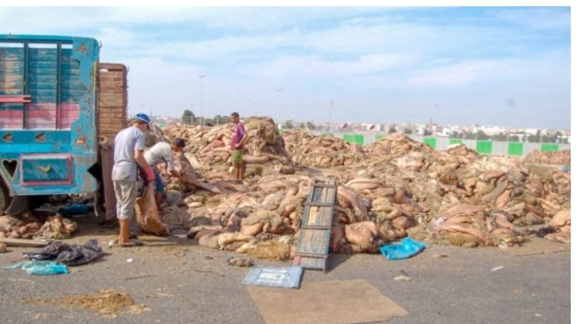 Recogida de basuras en una ciudad marroquí