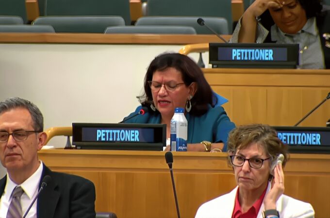 Anette Falcón interviene en el Comité de Descolonización de la ONU