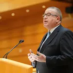 El senador del Partido Popular de la Región de Murcia Francisco Bernabé