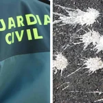 La Guardia Civil de Ciudad Real alerta de la propagación de un nuevo tipo de robo que emplea excrementos de ave