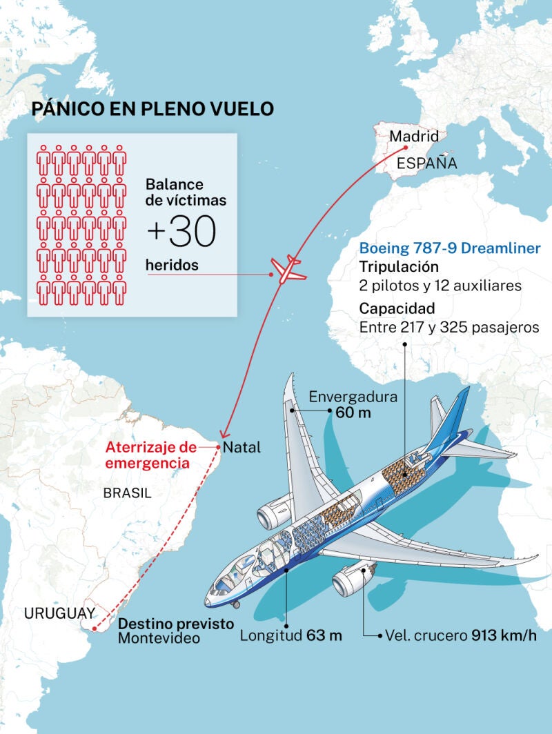 Vuelo turbulento