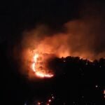  Los Bomberos dan por estabilizado el incendio forestal declarado en la Sierra de Altaona (Murcia)