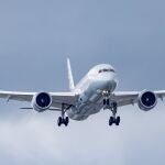 El congreso da luz verde a la promoción de combustibles sostenibles para la aviación