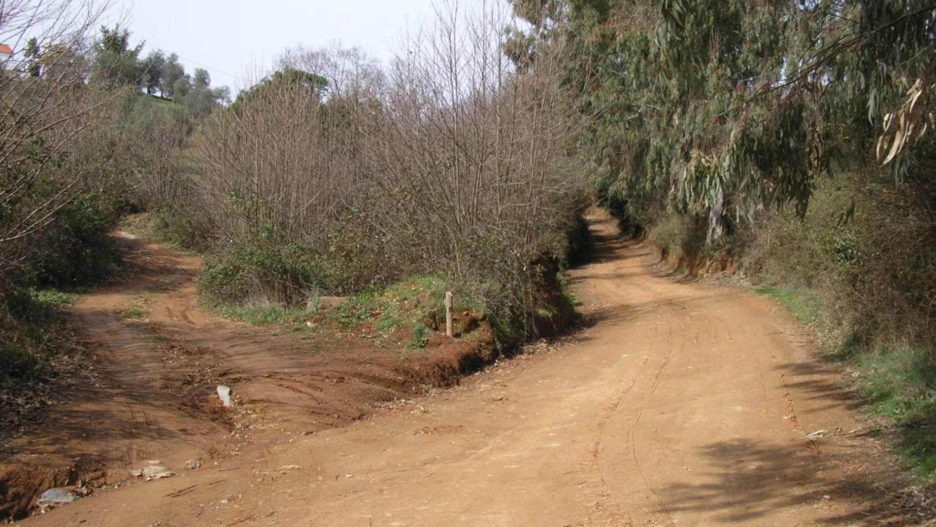 Sendero de los Castañares