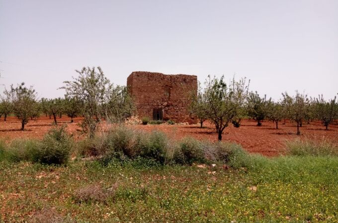 Imagen de la Torre del Moro, en Cartagena