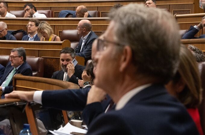 Feijóo y Abascal, en el Congreso de los Diputados