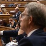 Feijóo y Abascal, en el Congreso de los Diputados