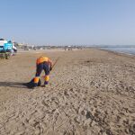 La playa de El Cabanyal reabre al baño tras retirar los restos de algas del agua
