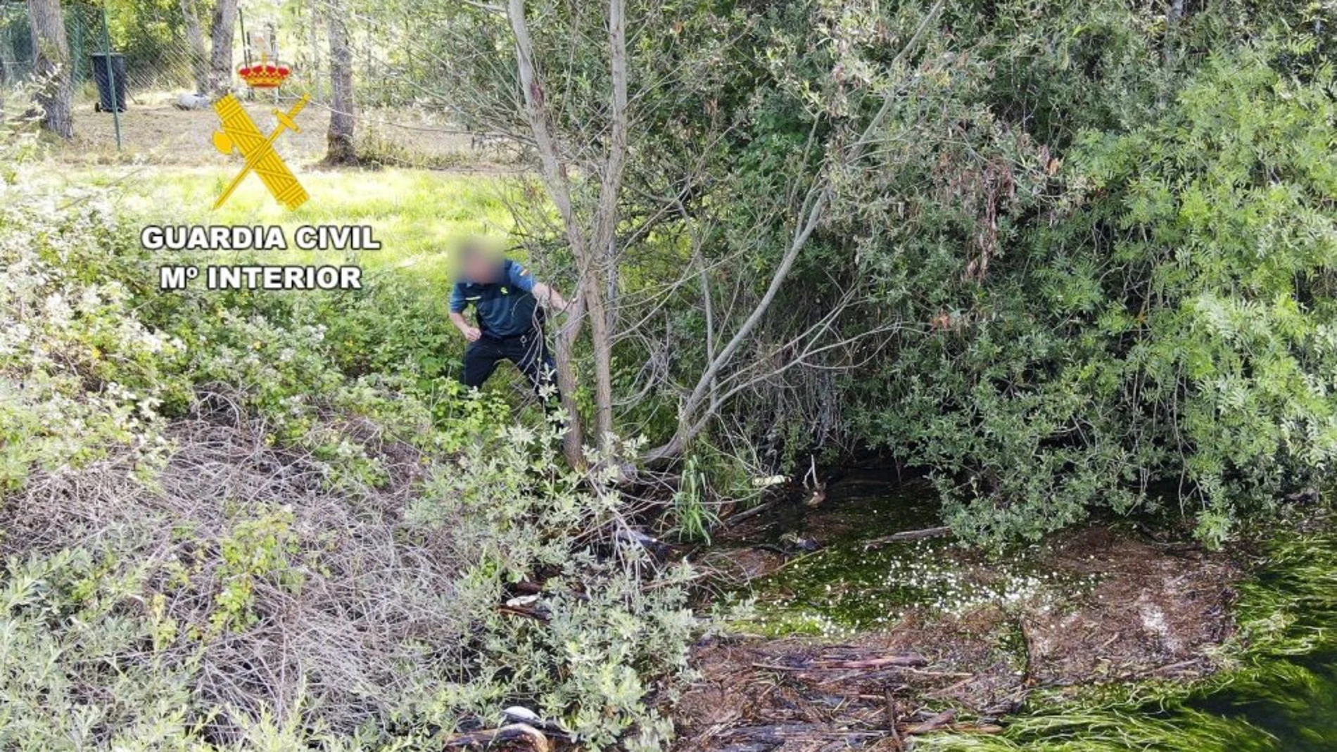 Efectivos de la Guardia Civil durante la búsqueda realizada en los últimos días