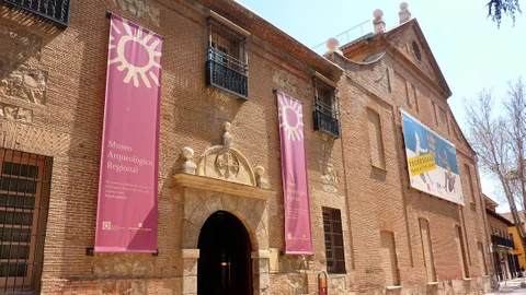 El Museo Arqueológico y Paleontológico de Alcalá renueva su imagen e instalaciones tras cumplir un cuarto de siglo