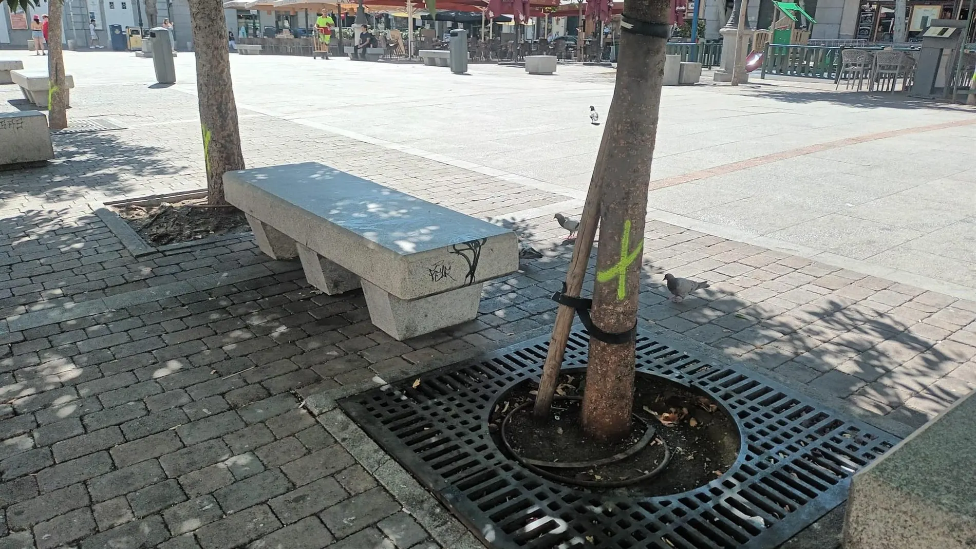 MADRID.-La iniciativa ciudadana lleva ya recogidas más de 4.860 firmas contra la tala de árboles en la Plaza de Santa Ana